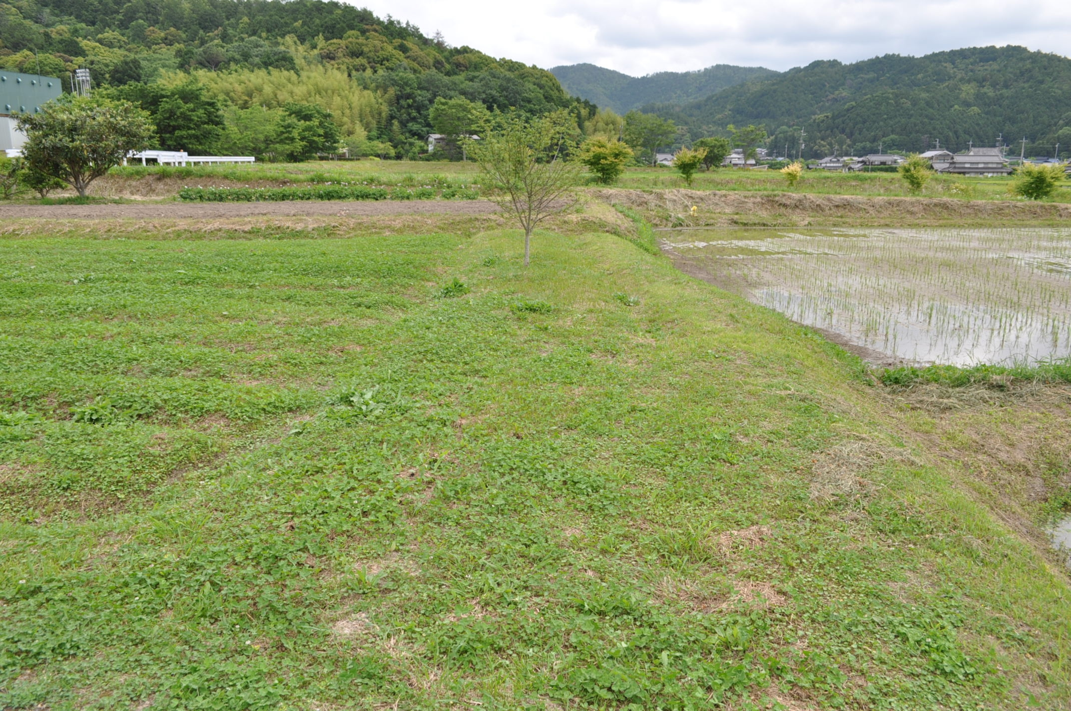 丹波市春日町下三井庄の売地の外観