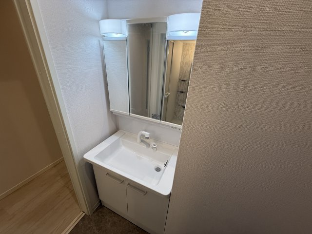 La vie belle 宝山町Ⅱの独立洗面台