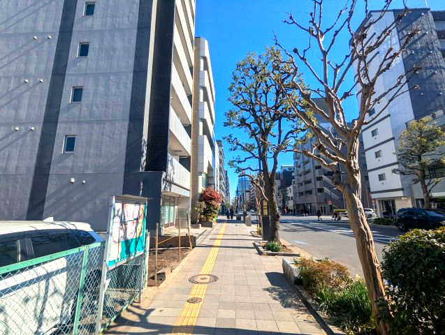 墨田区亀沢２丁目の売地の前面道路含む現地写真|【現地写真】正午撮影