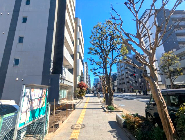 墨田区亀沢２丁目の売地の前面道路含む現地写真|【現地写真】正午撮影