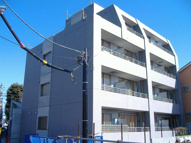 バロアールケヤキの画像