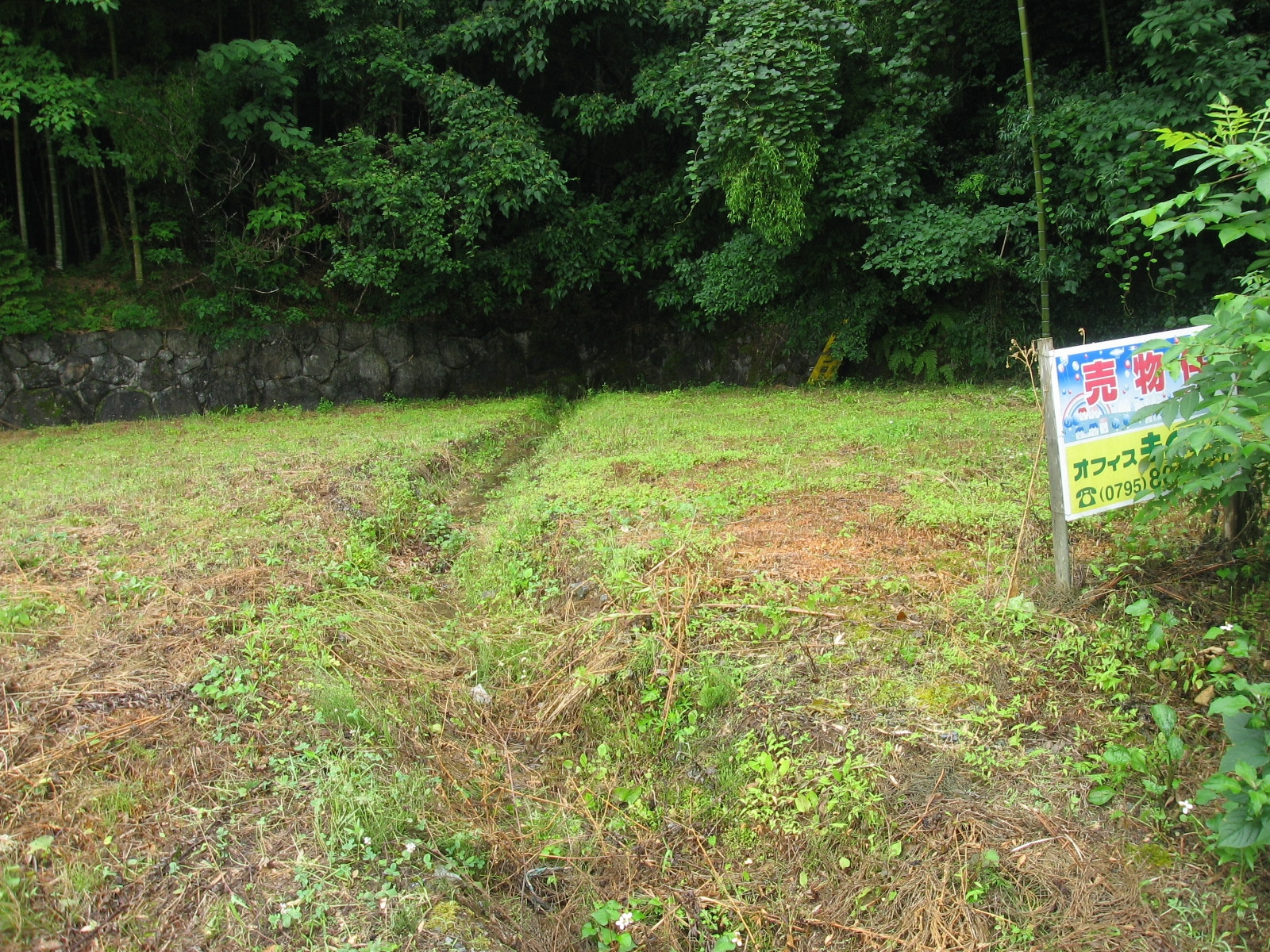 丹波市柏原町柏原の売地の外観