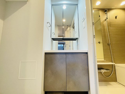 【独立洗面台】 | SYFORME OMIYA | 101号室（A´type）のお写真です（カラータイプが異なる場合がございます）