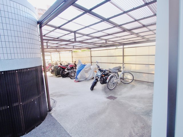 ドラゴーン金原の展望