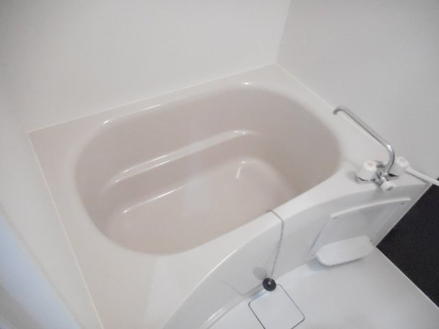 レグルスの浴室