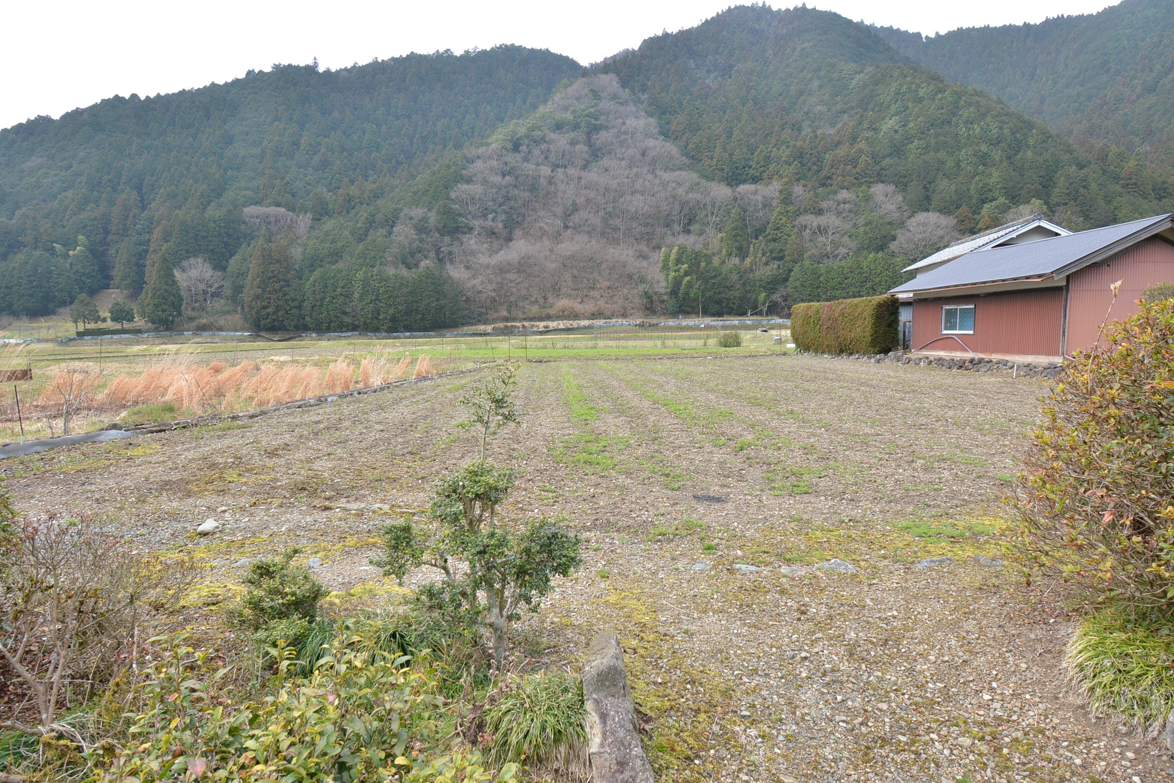丹波市青垣町稲土の売地