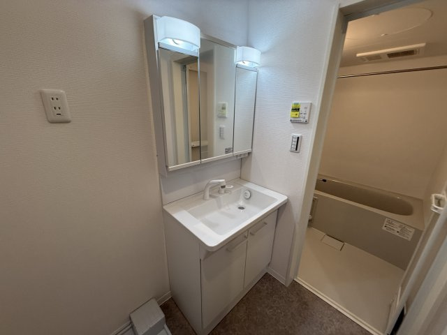 La vie belle 宝山町Ⅱの独立洗面台