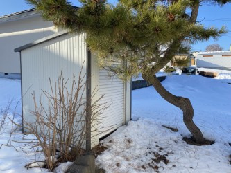 網走市駒場南２丁目４５番２０戸建の庭