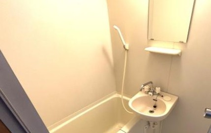 グリーンバレー久喜の洗面所|※同建物別部屋