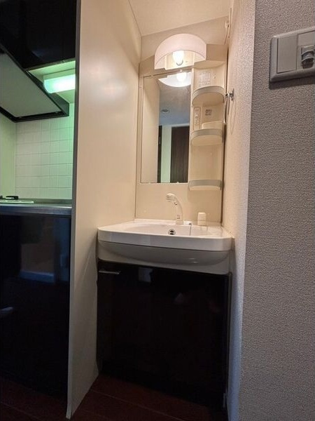 ライジングコート名古屋駅前東の洗面所