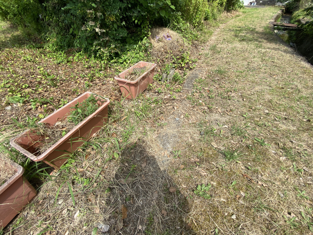 丹波市青垣町佐治の売地