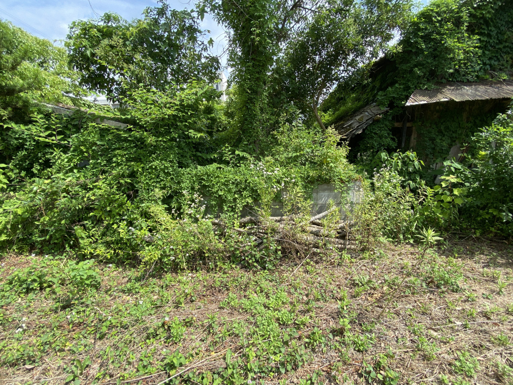 丹波市青垣町佐治の売地