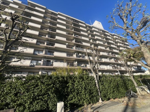 【外観】ルネ草加松原 