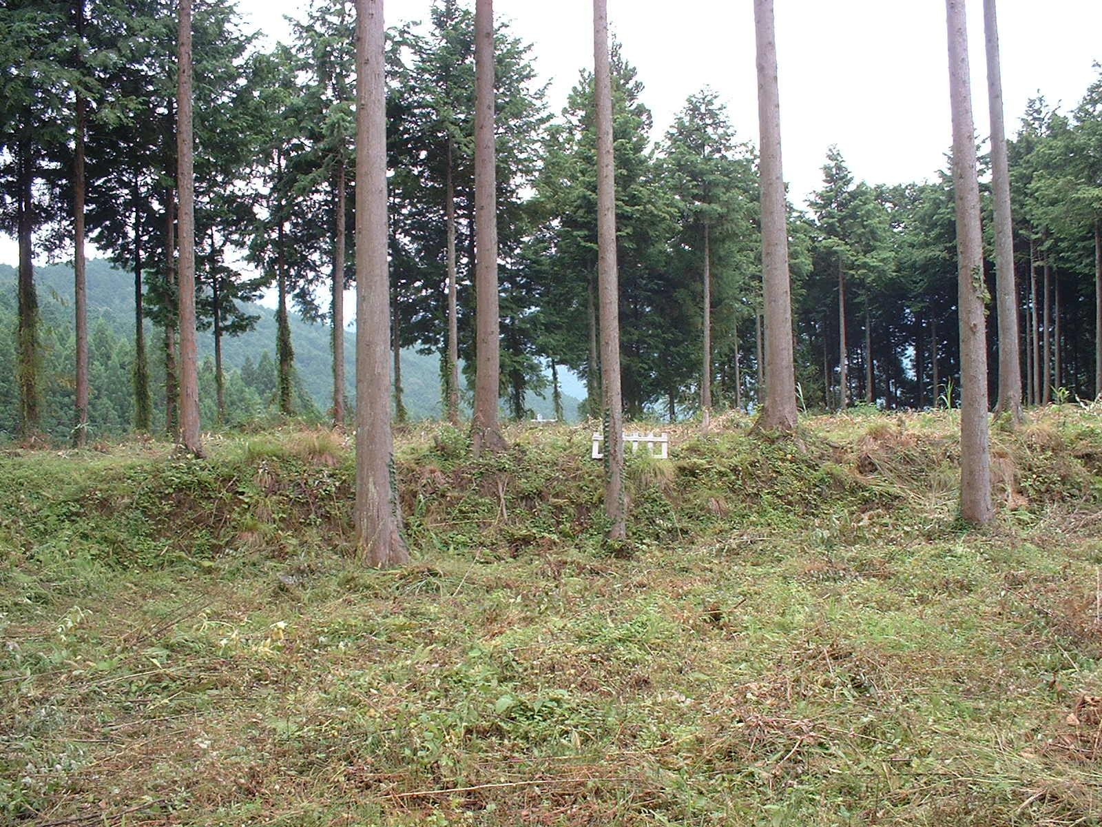 丹波市青垣町小稗の売地