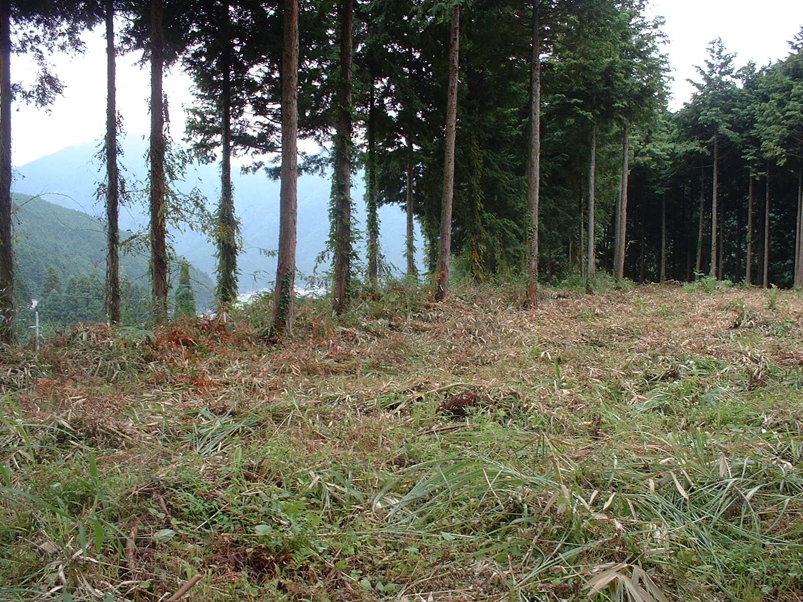 丹波市青垣町小稗の売地