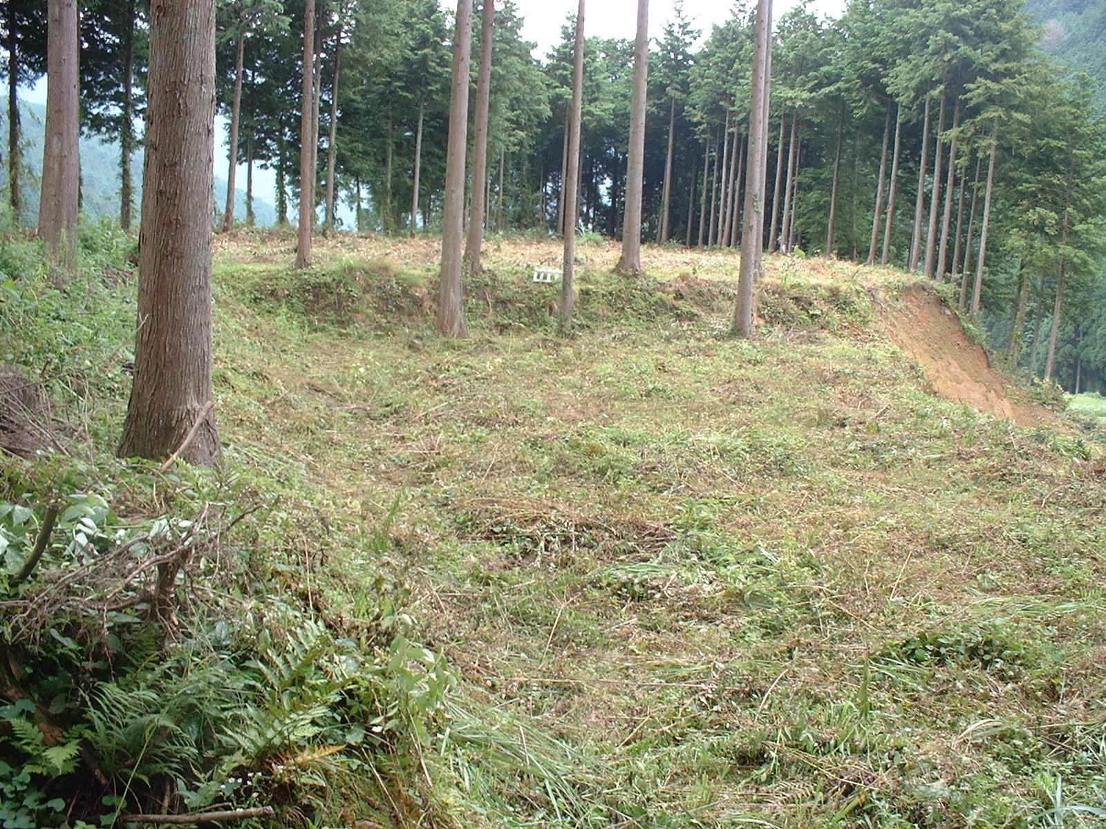 丹波市青垣町小稗の売地
