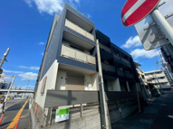 サイプレスの画像