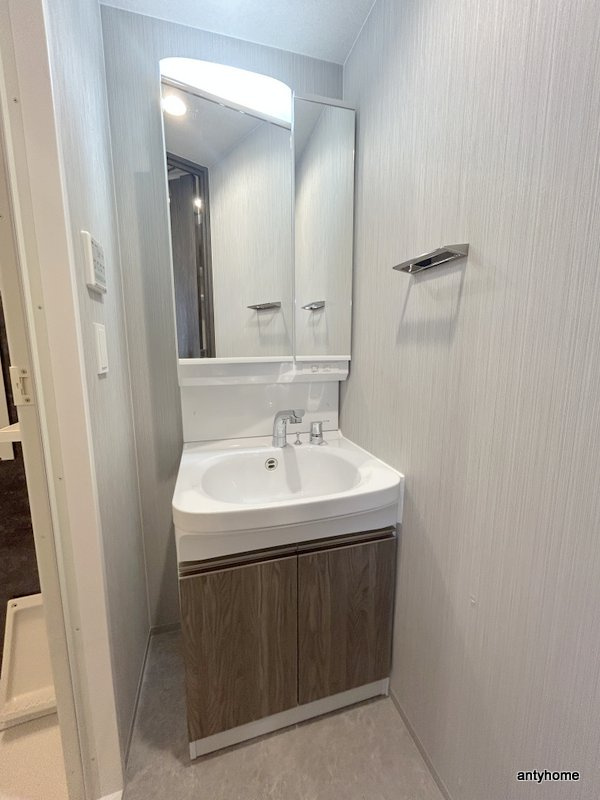 ブランシエスタ森ノ宮　仲介手数料無料の洗面所