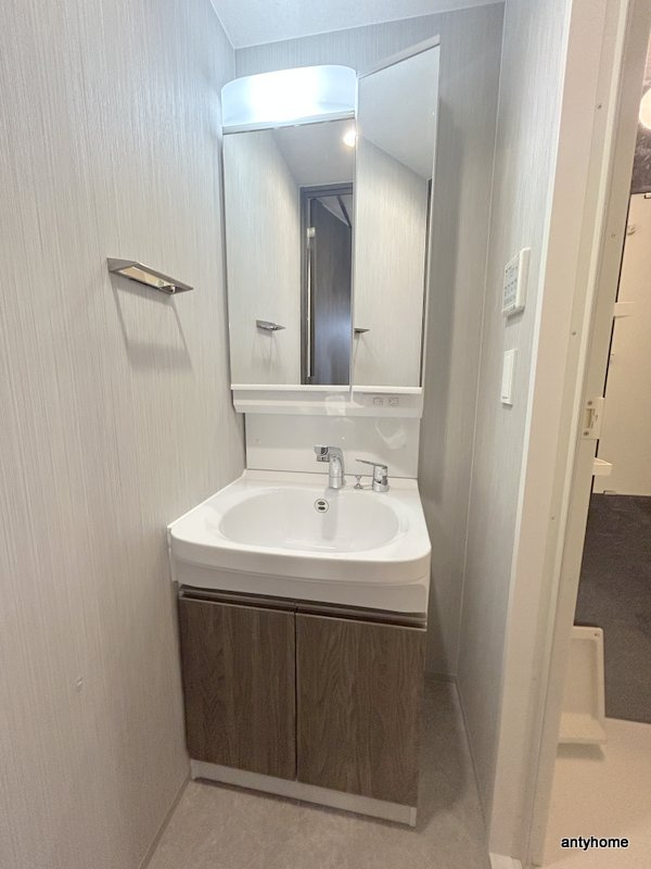 ブランシエスタ森ノ宮　仲介手数料無料の洗面所