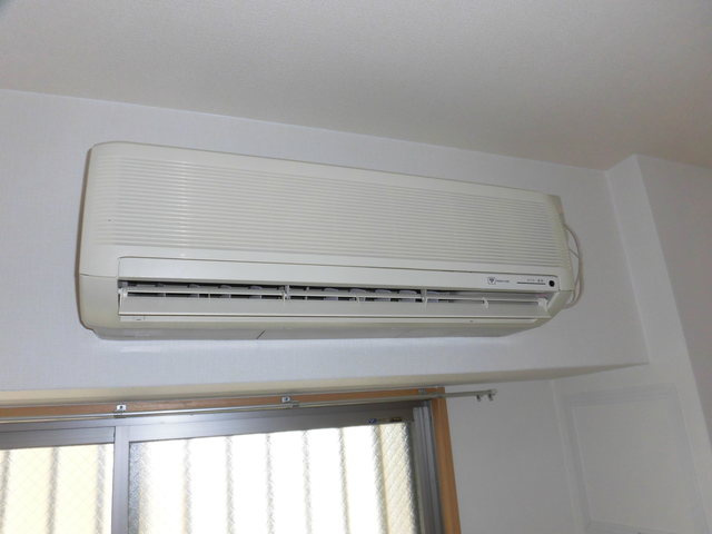 エバーグレイス