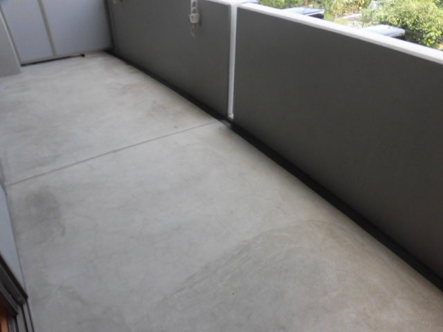 エバーグレイス