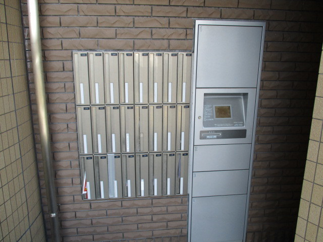 エバーグレイス