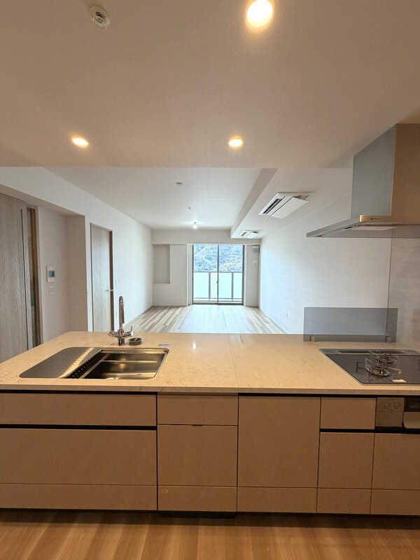 ジオタワー宝塚グランレジス南棟のキッチン