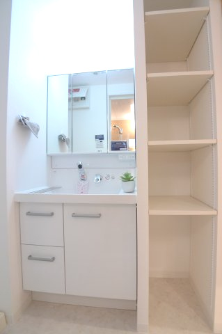 朝の支度にも助かる、独立の洗髪洗面化粧台