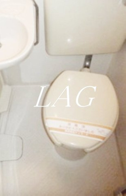 【トイレ】 | ダイアパレス上野 | トイレです。