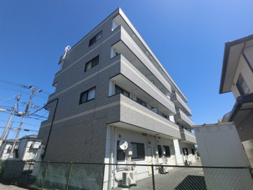 ファインコートの画像