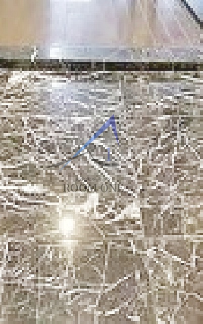 グラントゥルース板橋本町の玄関|玄関です。