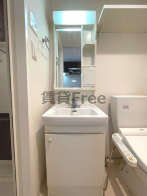 【独立洗面台】 | エステムプラザ大阪城パークフロント　仲介手数料無料