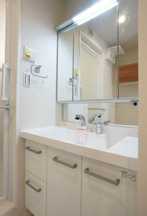 セルディーナ駒場　駅近　ネット無料　シャーメゾンの洗面所