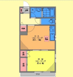 グレースパピヨンの画像