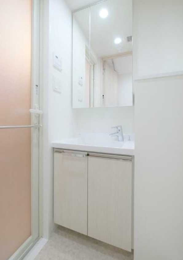 プレミアムキューブ上野毛＃mo　ペット相談　ネット無料　築浅の洗面所