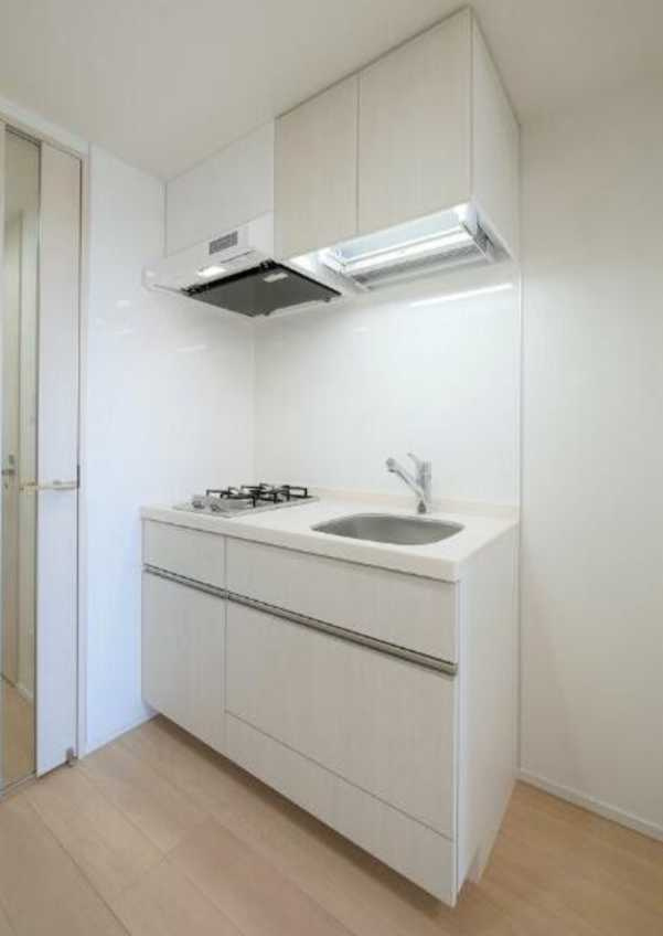 プレミアムキューブ上野毛＃mo　ペット相談　ネット無料　築浅のキッチン