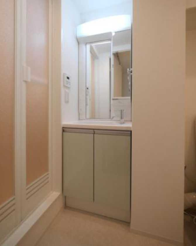 ラフィスタ豪徳寺　築浅　ペット相談　分譲賃貸の洗面所