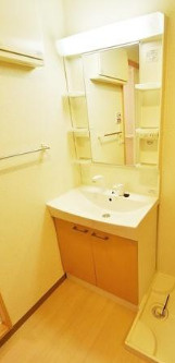 パークサイドプラム　３０１の洗面所