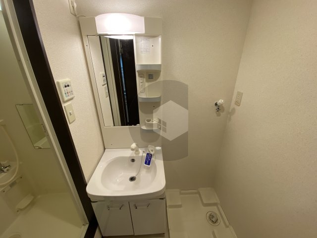 フジパレスヴィオレの独立洗面台