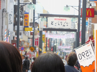 【周辺】 | ONE ROOF FLAT TOGOSHI