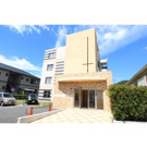 シーベルズの画像