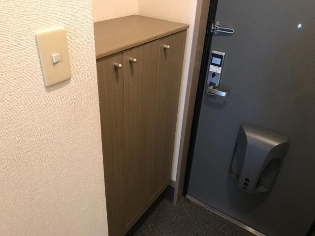 Ｎｅｏ　Ｓｏｐｈｉａ　（ネオ　ソフィア）の収納|下駄箱