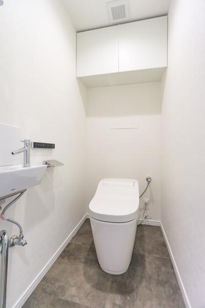 新多摩川ハイム１号棟のトイレ