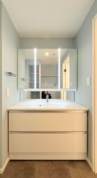 藤和ライブタウン緑山壱番館の独立洗面台