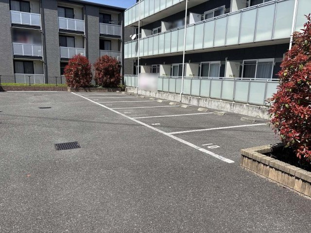 レオネクストアゼリアアークのその他