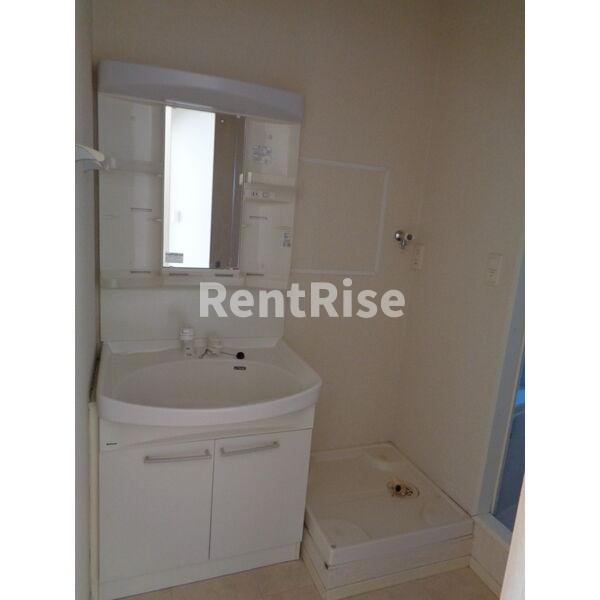 メゾン・ド・フローラⅡの洗面所