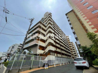 友井グレイスの画像