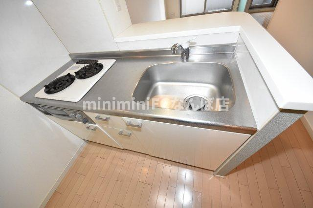 セイワパレス大手前西