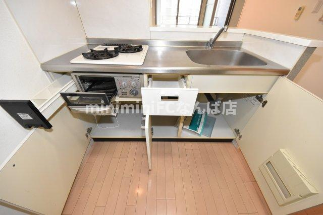 セイワパレス大手前西