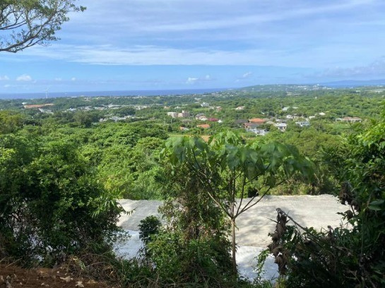 今帰仁村玉城 33993㎡の外観